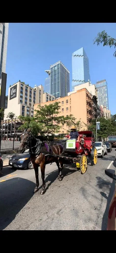 Al Shami 408 Apartment New York Homestay